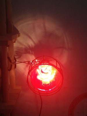 Lampada termica a raggi infrarossi a onda corta da 250 watt con convertitore d’ onda Skudo® Hologram®